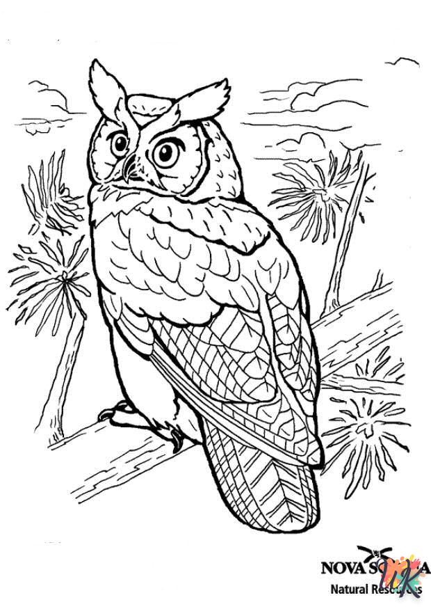 coloriage s Des oiseaux  à imprimer pdf