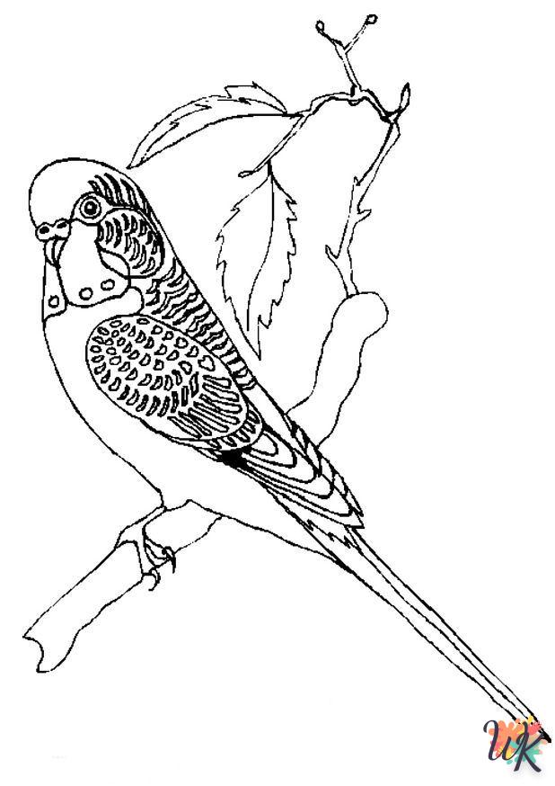 coloriage s Des oiseaux  magique à faire en ligne