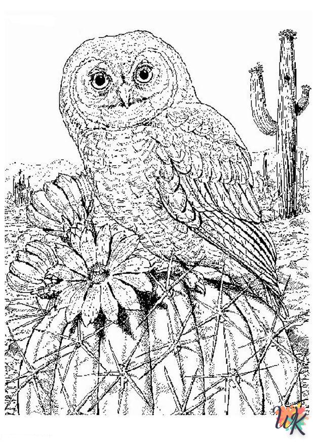 coloriage s Des oiseaux  à imprimer pour enfant de 3 ans