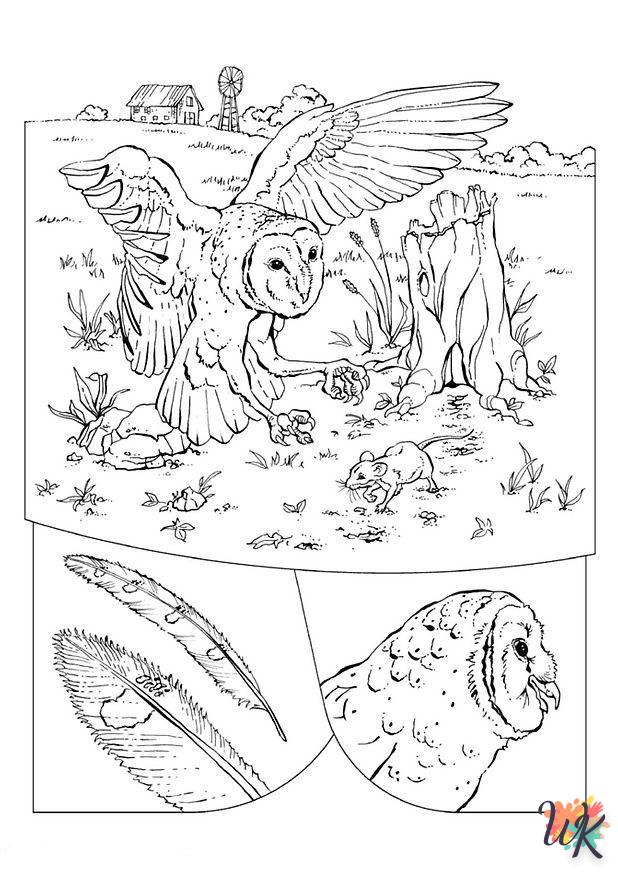 coloriage s Des oiseaux  pour enfants a imprimer