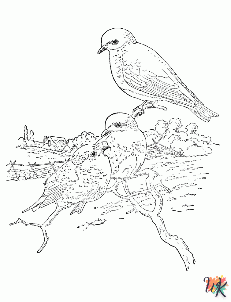 coloriage s Des oiseaux  gratuit