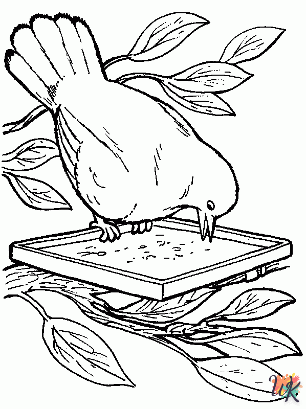 coloriage s Des oiseaux  pour enfants à imprimer