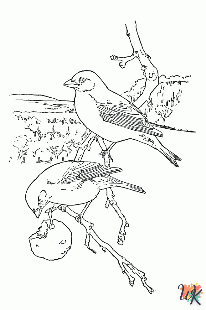 coloriage s Des oiseaux  à imprimer pour enfant de 3 ans