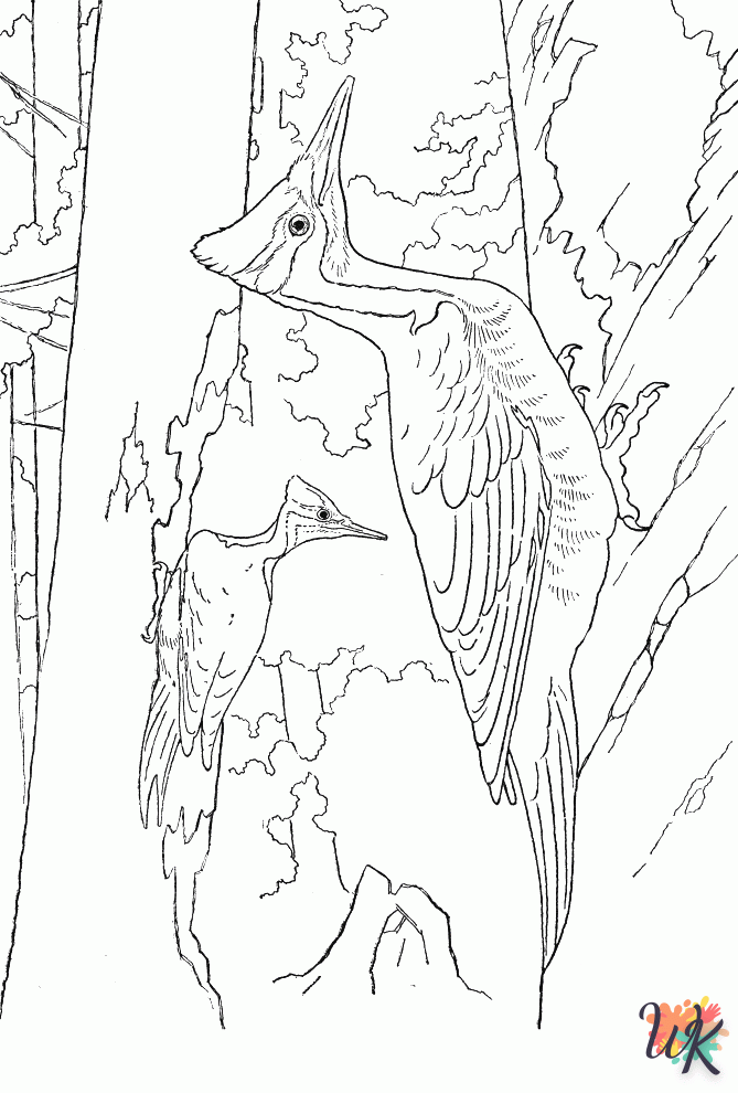 coloriage s Des oiseaux  pour primaire