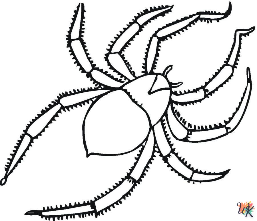 coloriage Araignée  educatif pour enfant