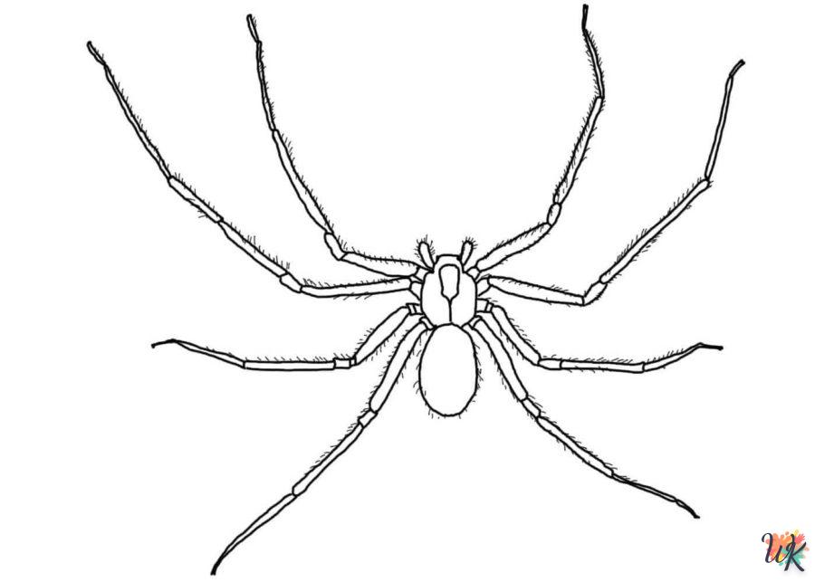 coloriage Araignée  à imprimer