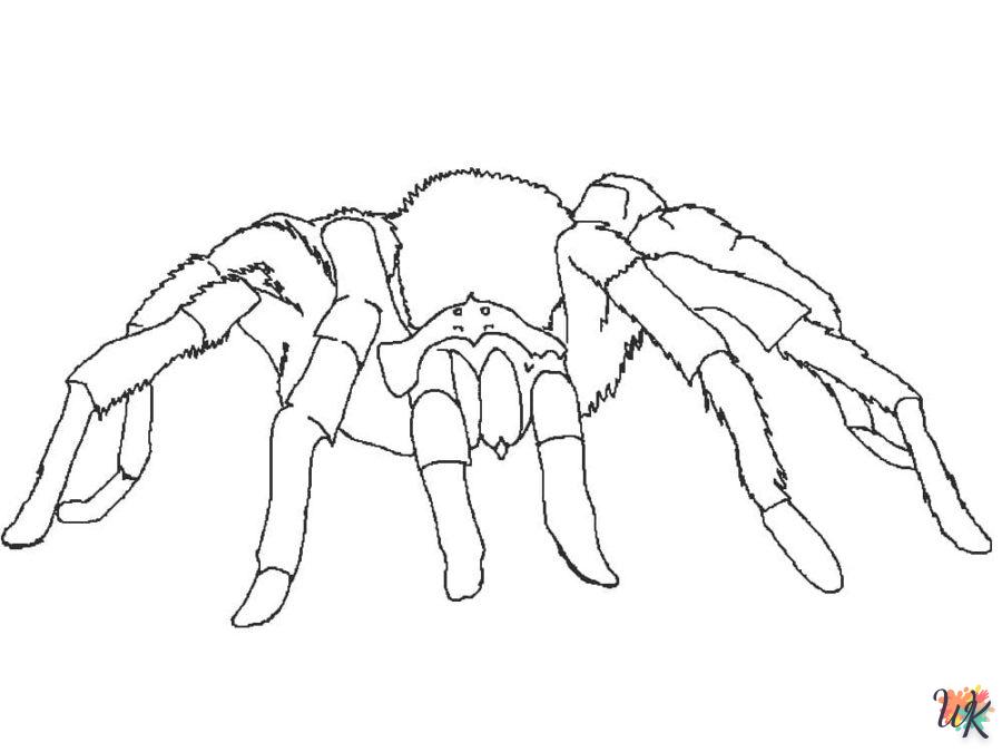 coloriage Araignée  en ligne à imprimer