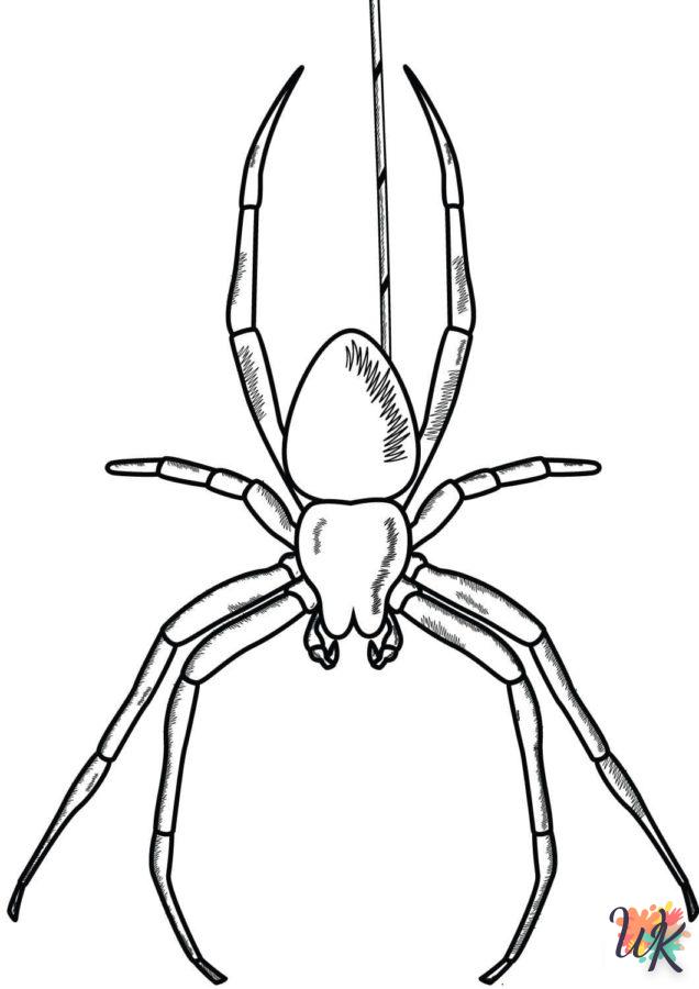 coloriage Araignée  en ligne adulte gratuit