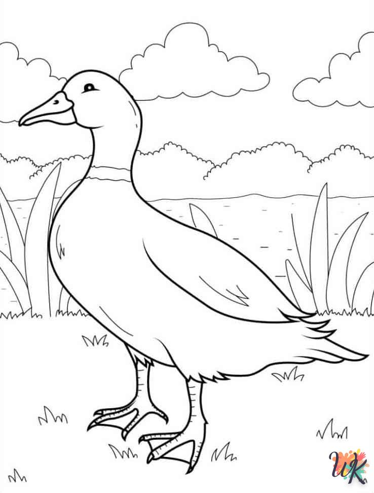 coloriage Canard  et découpage à imprimer