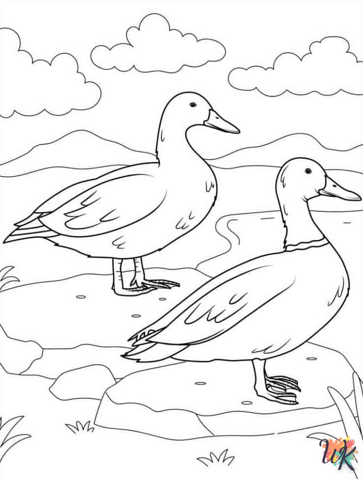 coloriage Canard  pour enfant de 8 ans