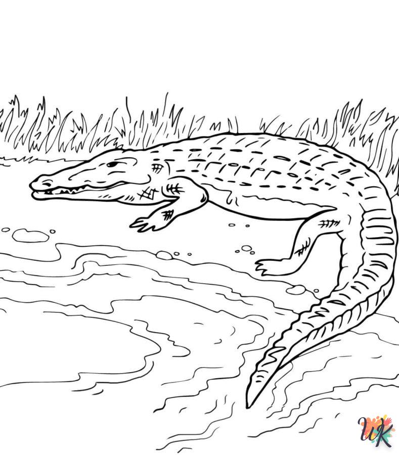 coloriage Crocodile  et dessin a imprimer