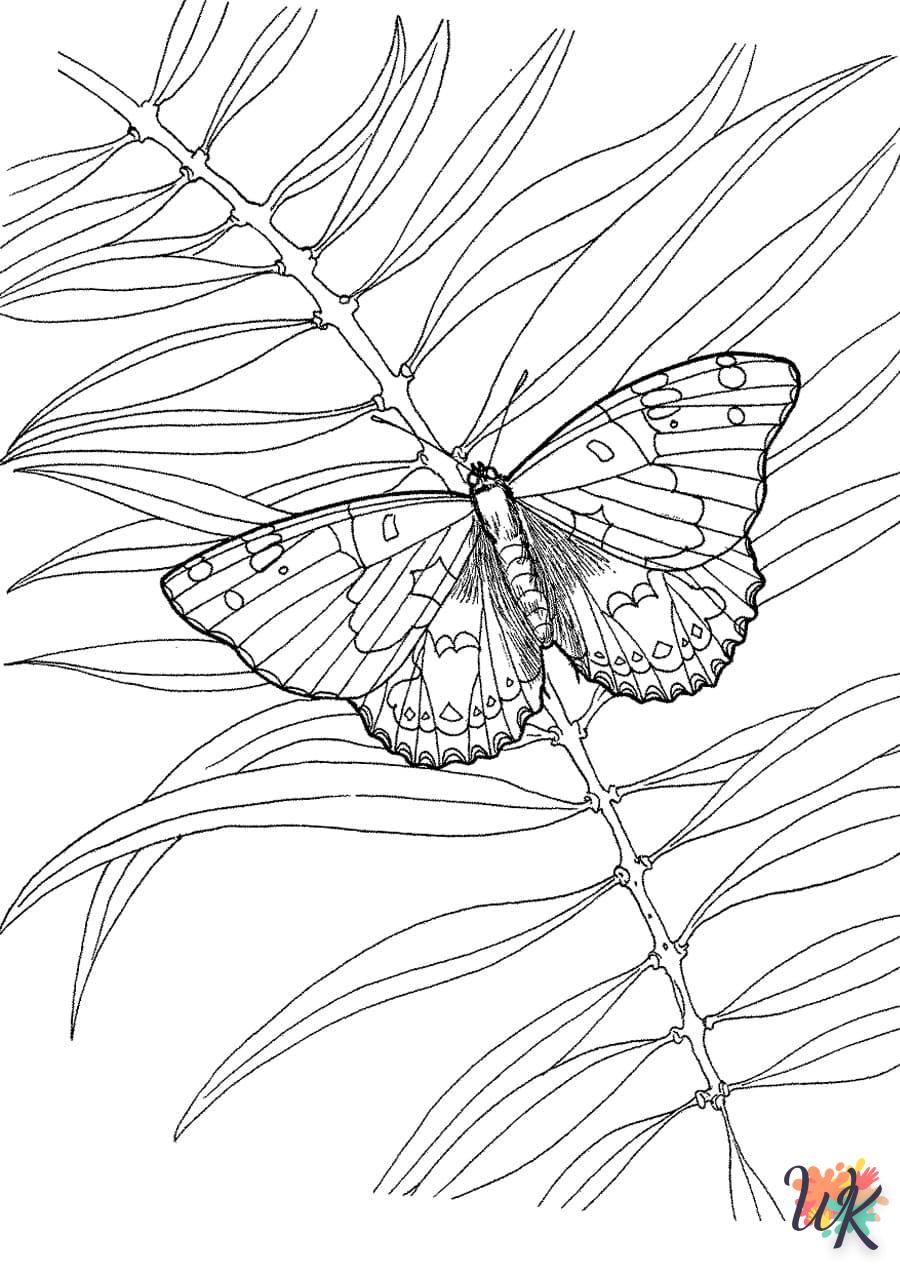 coloriage Papillon  en ligne pour enfant