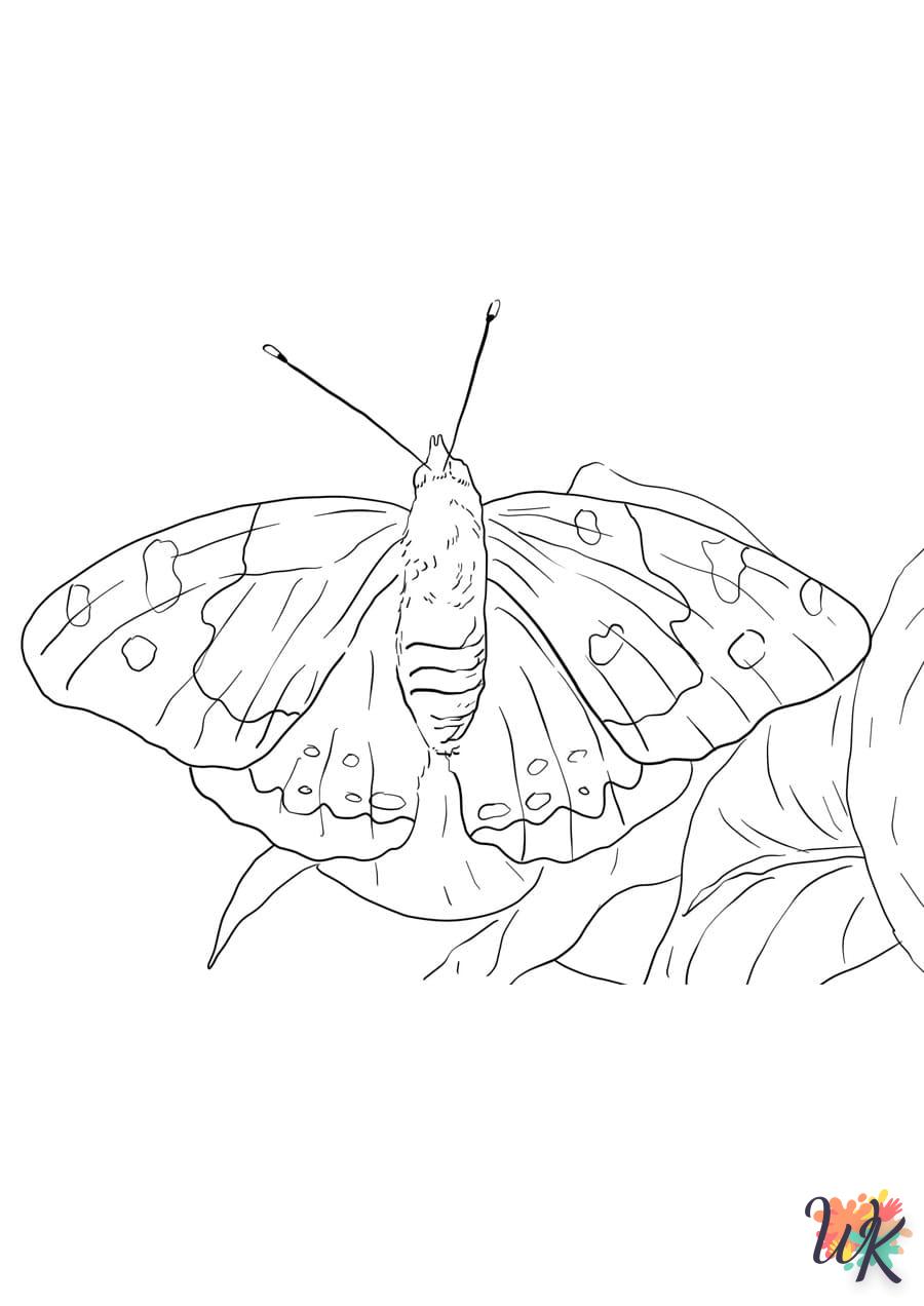 coloriage Papillon  et dessins