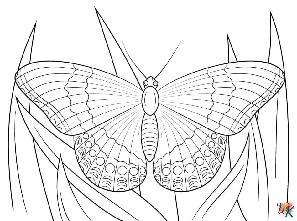 à imprimer coloriage Papillon